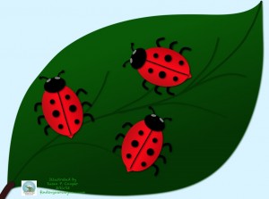 Big Lady Bugs