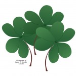 Irish Wish, findingourwaynow.com