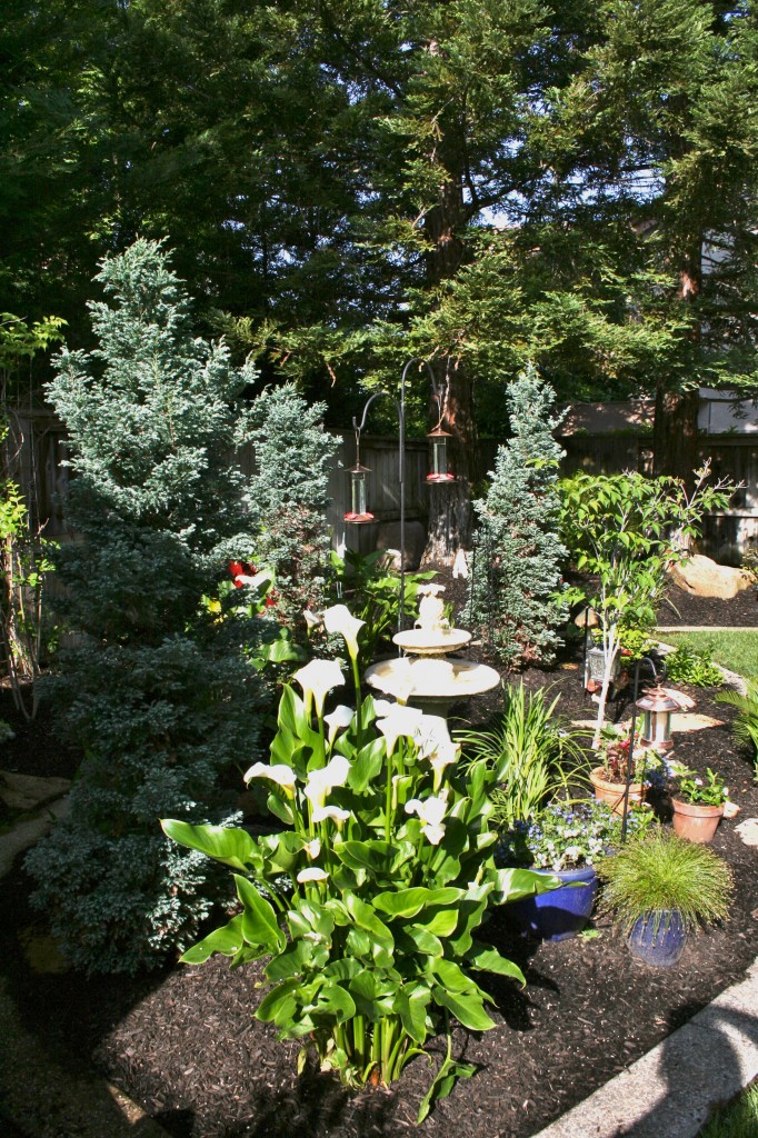 A Morning In A Garden, findingourwaynow.com