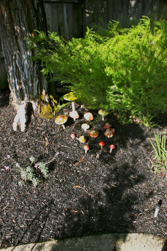A Morning In A Garden, findingourwaynow.com