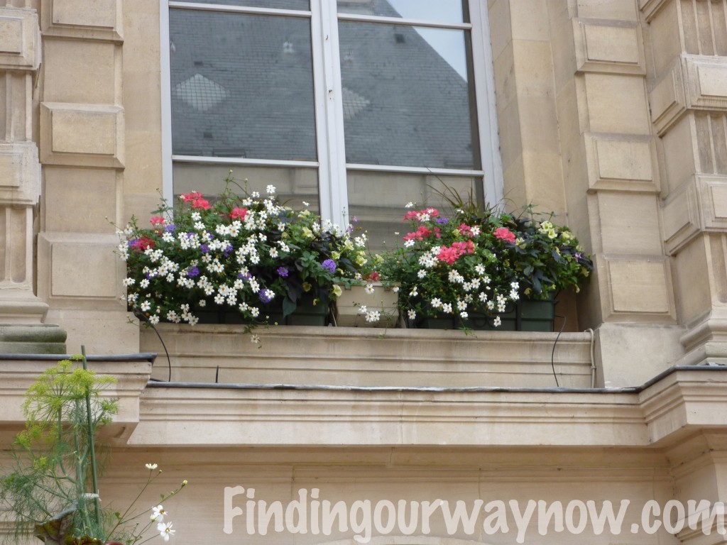 Flowers In France, findingourwaynow.com