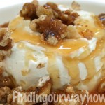 Greek Yogurt and Honey Dessert Recipe, findingourwaynow.com