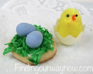Birds Nest and Flower Easter Cookies, findingourwaynow.com