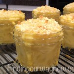 Macaroni and Cheese, findingourwaynow.com