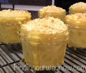 Macaroni and Cheese, findingourwaynow.com