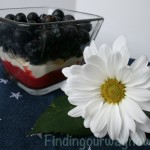 Red White and Blue Delight, findingourwaynow.com