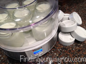 Homemade Yogurt, findingourwaynow.com