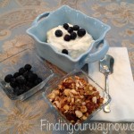 Homemade Yogurt, findingourwaynow.com
