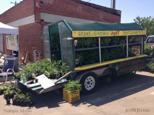 Picture of farmers market flower trailer.