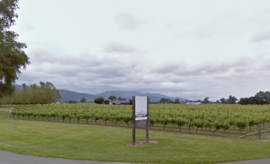 New Zealand Chardonnay, findingourwaynow.com