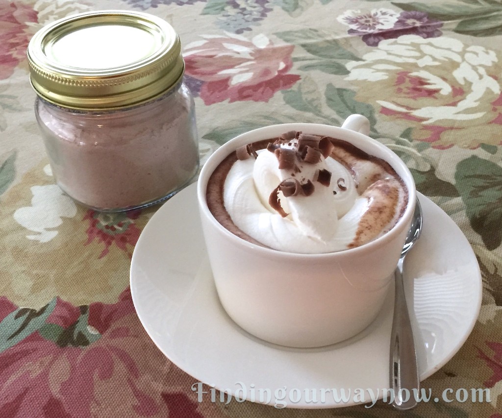 Homemade Spiced Cafe Mocha Mix Recipe Finding Our Way Now